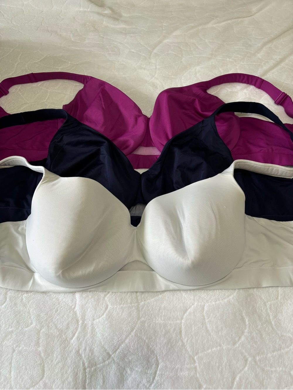 Cacique 3-Pack Seamless Molded Bras - White, Navy, Magenta
